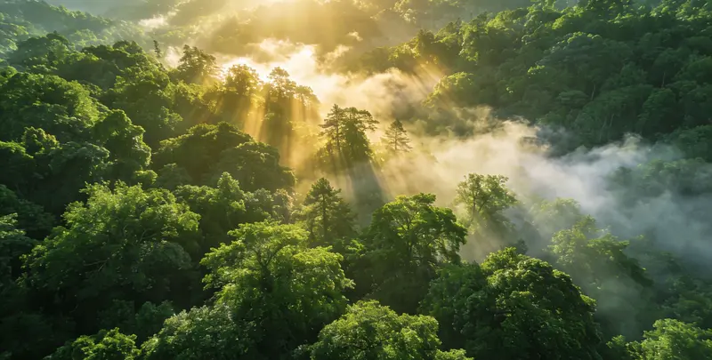 衢州肺癌120基因ctDNA突变检测(血液）检测图1