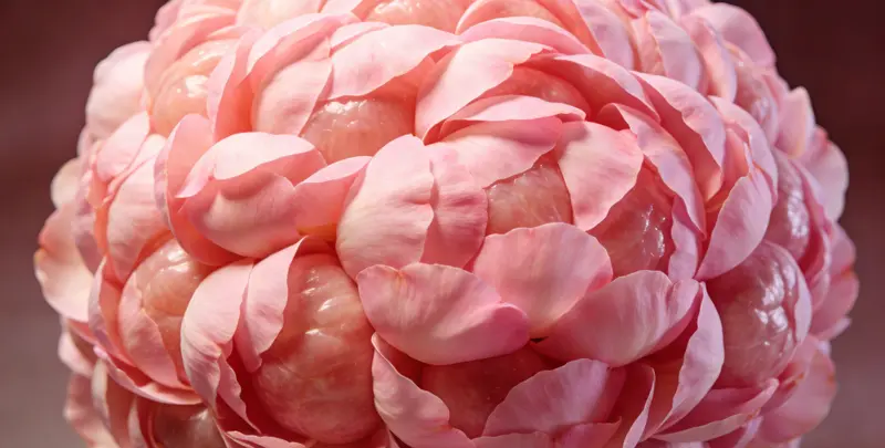 衢州乳腺/卵巢癌靶向120基因检测（组织）检测图1