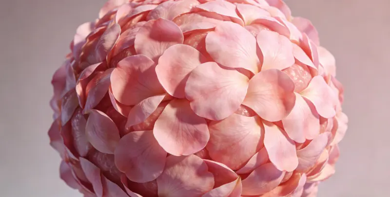 乳腺/卵巢癌靶向120基因检测（组织）图4