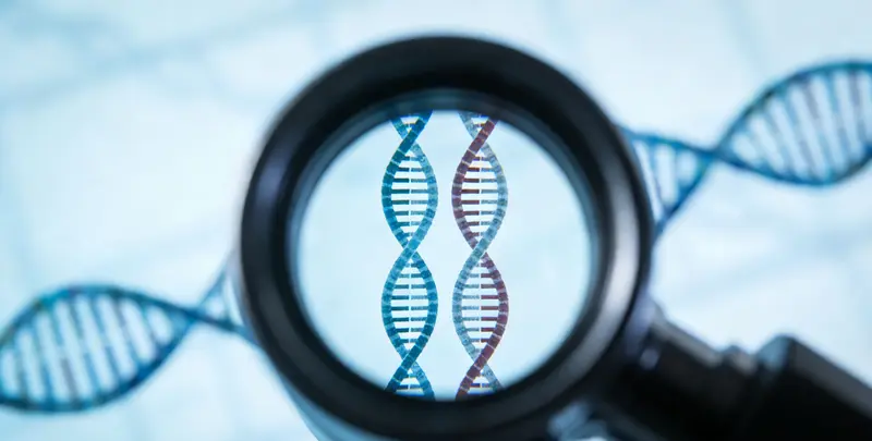 司法亲子鉴定加急图2